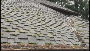 Roof-moss-removal