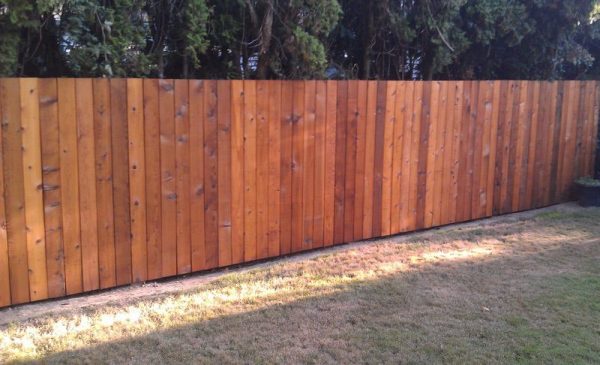 cleaned wood fence