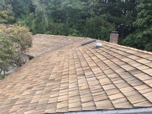 cleaned roof shingles