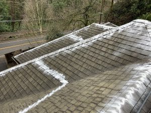 roof moss removal